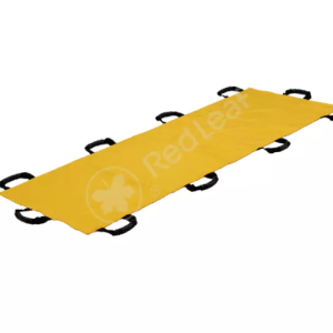 CST-01 – Carry Sheet (Sabana de transferencia)